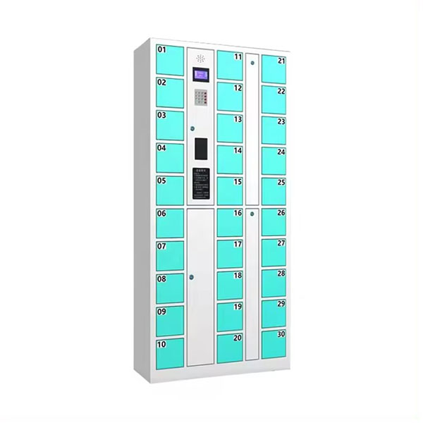Mobile Phone Storage Locker