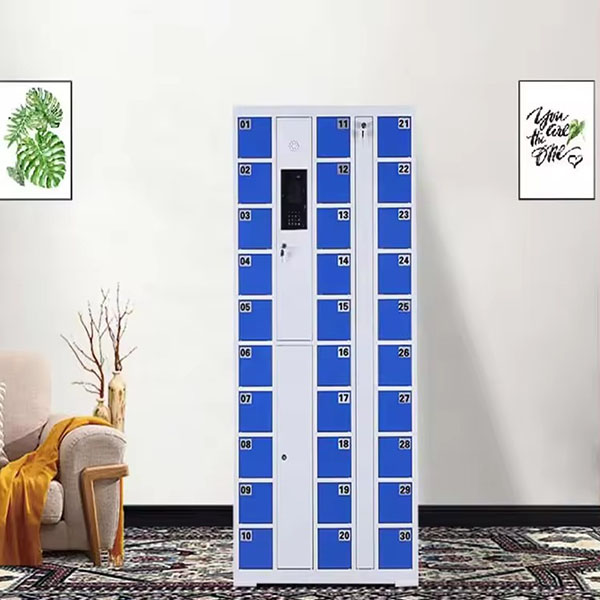 PIN Phone Storage Locker