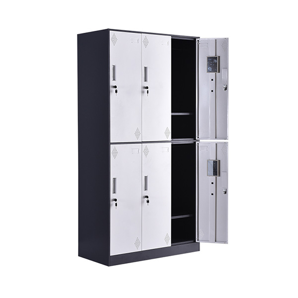 Wide Six Door Locker