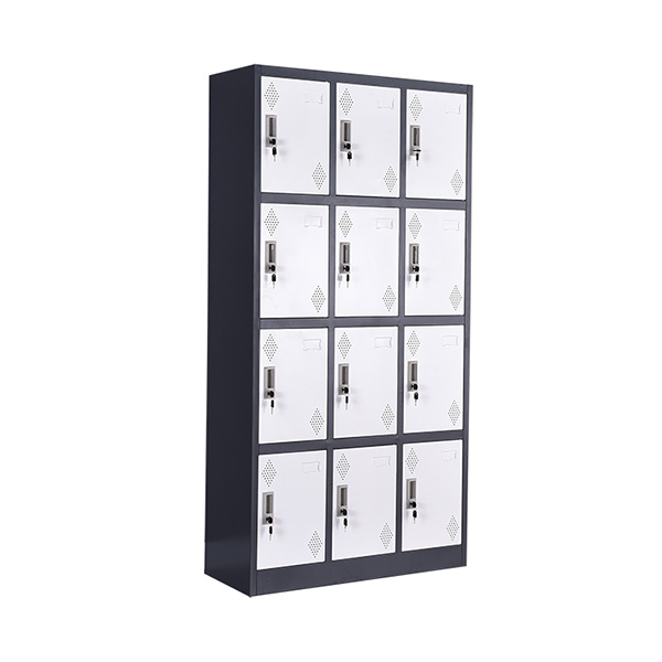 Wide Twelve Door Locker