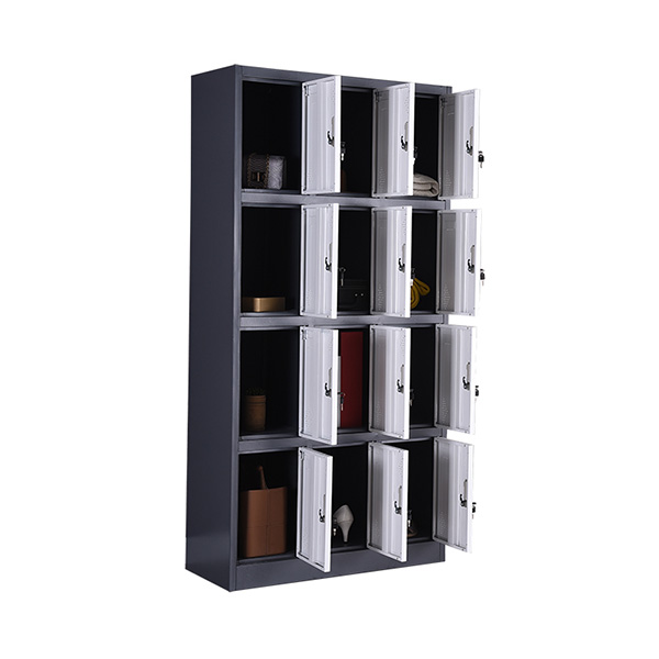 Wide Twelve Door Locker