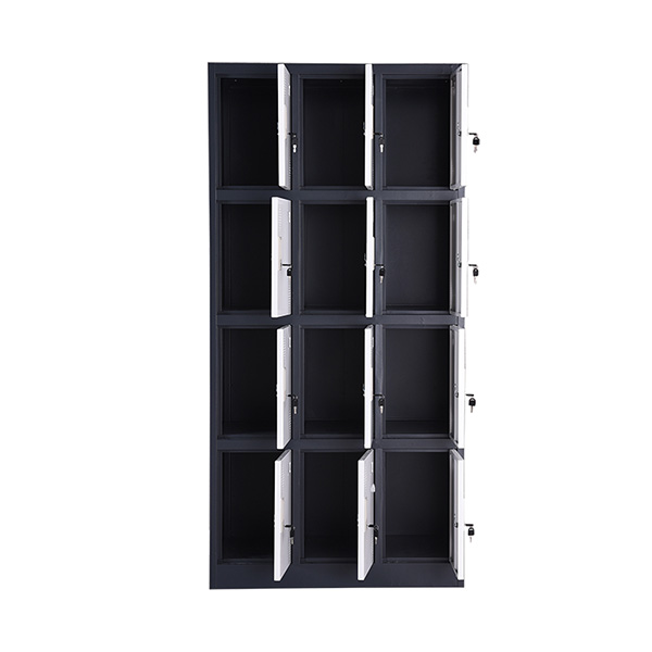 Wide Twelve Door Locker