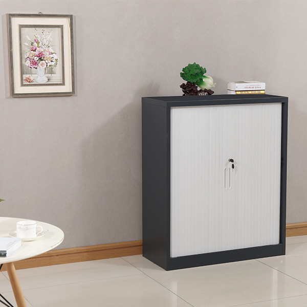 Curtain Door Cabinet
