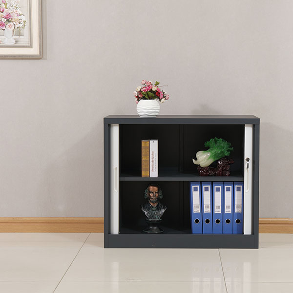 Curtain Door Cabinet