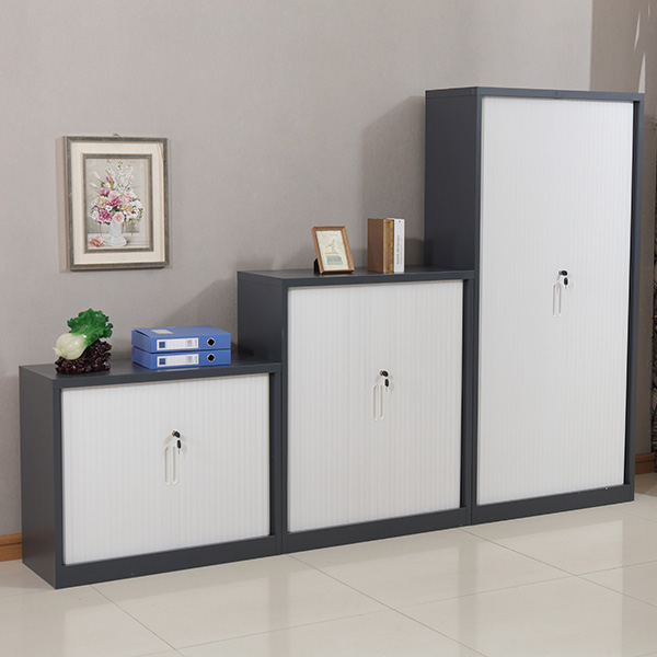 Curtain Door Cabinet