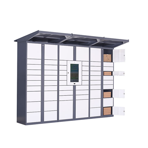 Electronic Lockers