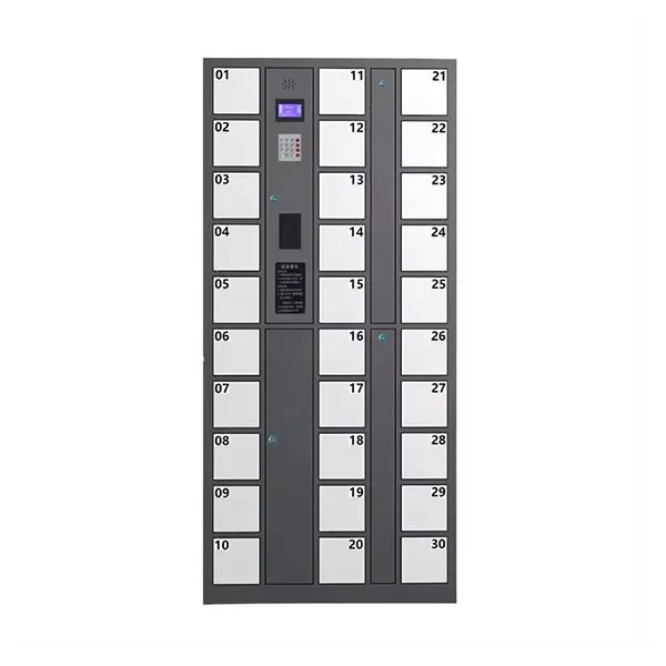 Mobile Phone Storage Locker