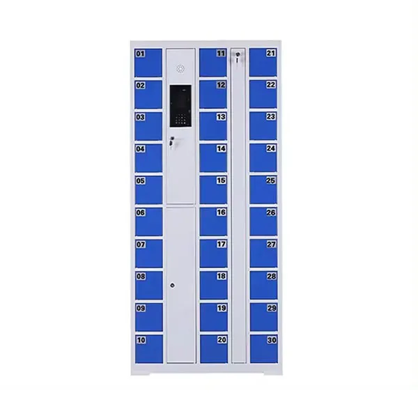 PIN Phone Storage Locker