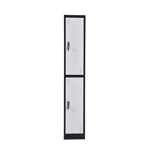 Single Two Door Locker