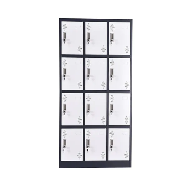 Wide Twelve Door Locker