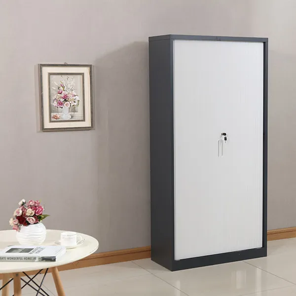 Steel Roll-up Door File Cabinet