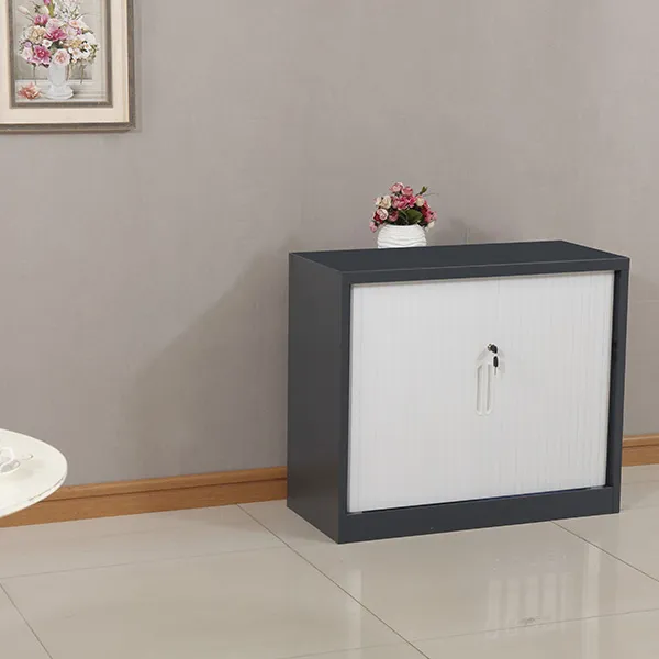 Curtain Door Cabinet