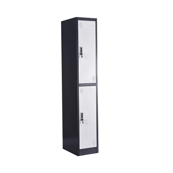 Single Two Door Locker