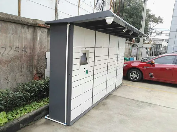 Express Locker with Canopy Project